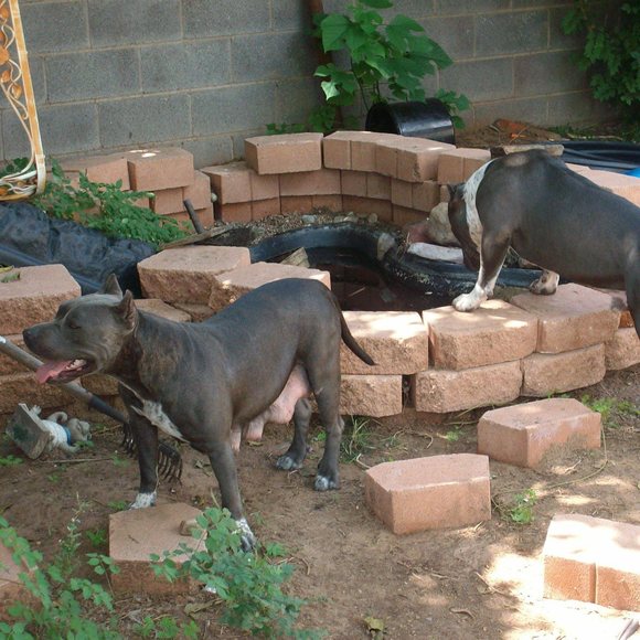 Meet your Posher, David - Picture 1 of 1